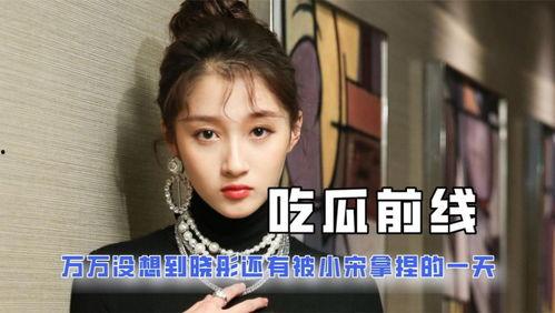 娱乐圈吃瓜搞笑发疯小说,瓜田笑疯录