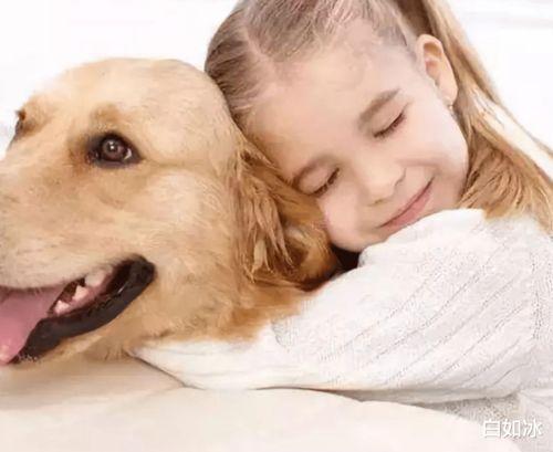 娱乐吃瓜酱养宠物,萌宠相伴，欢乐无限