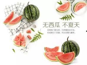 吃瓜活动策划,一场别开生面的吃瓜盛宴活动策划